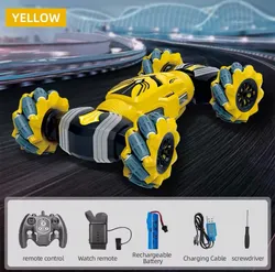 Remote Control Stunt Car