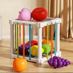 Fruit Sorting Sensory Cube